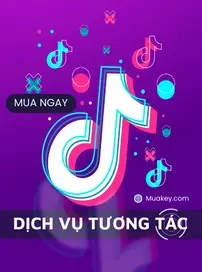 Gói Tăng 1000 Follow Tik Tok